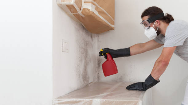 Professional Mold Cleanup technician working in Nesconset, NY