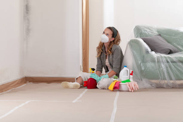 Reliable Mold Cleanup contractor in Nesconset, NY by Cheap Mold Removal